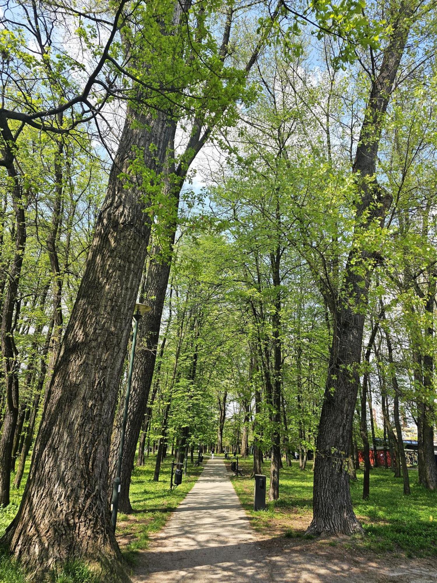 Park Apartment Cracovie Extérieur photo